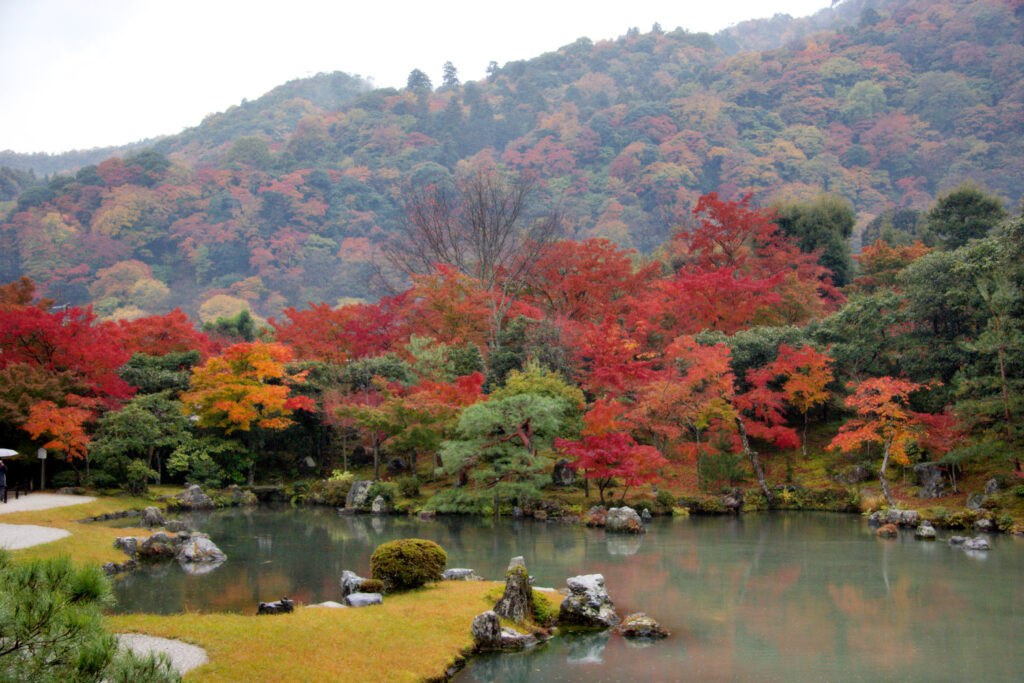 fall vacation ideas, arashiyami japan
