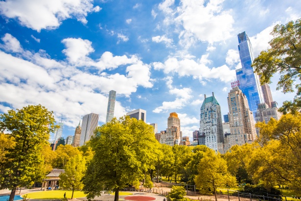 women to travel solo, central park new york